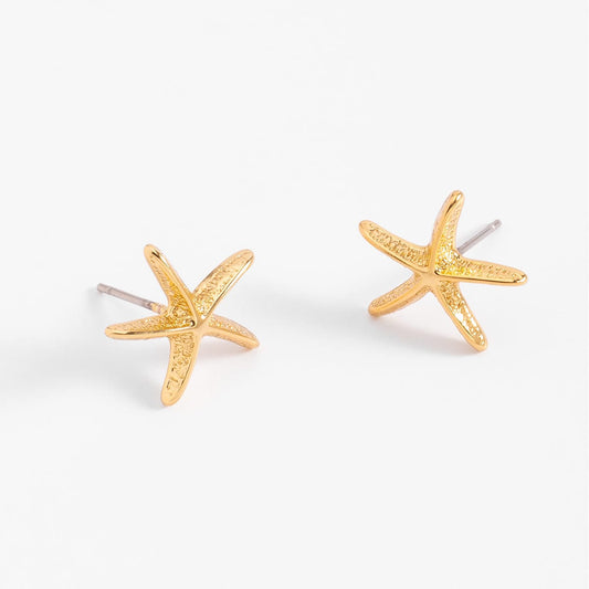 Aretes estrella de mar